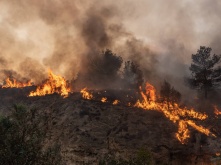 Омская область на четвертом месте в Сибири по площади лесных пожаров