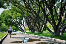 В Омске до середины недели продлятся дожди и грозы