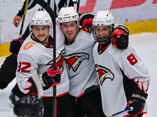 «Авангард» и «Омские крылья» проведут товарищескую встречу