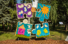 «Флору» посмотрели за пять дней 650 тысяч человек