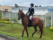 Омские спортсмены вышли в финал общероссийского турнира по конному спорту «Золотой пьедестал»