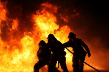 В Омской области при пожаре погибло 4 тысячи животных