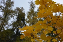 Бабье лето уже на подходе: в регионе потеплеет к выходным