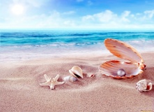 Абхазия, Египет и Крым: где дешево отдохнуть у моря осенью