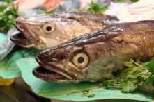 В России подорожает рыба