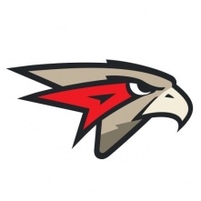 В «Авангард» приедет легионер, поигравший в НХЛ 