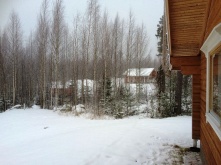 В России продлили дачную амнистию для общих построек до 2031 года