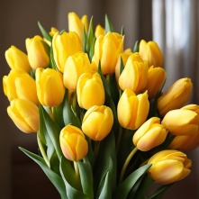 В Омскую область завозят тысячи тюльпанов