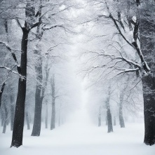 В Омскую область пришли снегопады