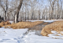 В Омске новая неделя начнется с теплой погоды