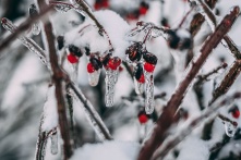 Синоптики рассказали, когда в регионе растает снег