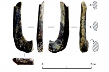 В Омской области нашли артефакт, которому 13 тысяч лет
