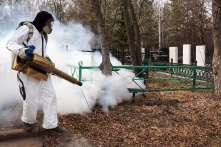 Омские кладбища обработают до конца апреля от клещей