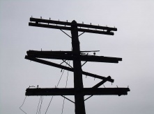 В Омской области от паводка пострадало порядка 300 объектов ЖКК