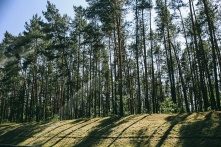 В Омской области начинают отменять противопожарный режим