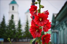 В Омске июль начнется с понижения температуры и дождей