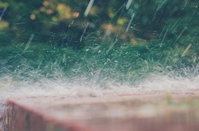 В Омскую область проливные дожди пришли надолго