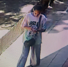 В Омске продолжается поиск 15-летней москвички