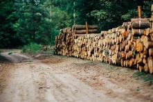 Омская РЭК придумывает цены