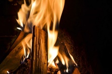 В Омске назвали самые частые причины летних пожаров 