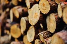 Тепло в копеечку. РЭК предоставила список, адресов где можно приобрести дрова