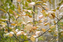 В Омской области объявили штормовое предупреждение