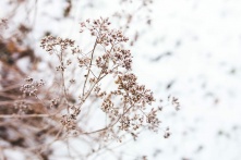 На Омск идет резкое похолодание и снегопады