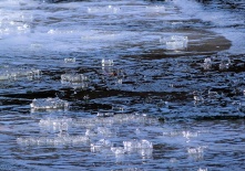 В Омской области закрыли все паромные переправы