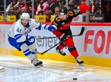  «Авангард» уступил «Динамо»