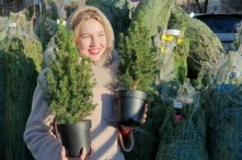 Россиянам рассказали, какое новогоднее дерево осыпается меньше всех