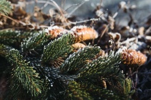 Омичей ждет большой перепад температур