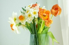 Россиянам рассказали, как выбрать цветы на 8 Марта