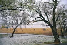 В Омск до конца недели придет неустойчивая погода с колебаниями температуры от - 8 до + 25 градусов