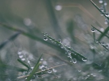 В Омск пришли затяжные дожди