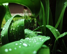 В Омской области ожидаются грозы, ветер, град