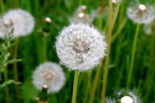 Омский синоптики рассказали, когда в город вернётся тепло