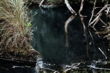 В Осташково после откачки снижается уровень воды