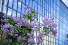 Куда пойти в Омске 30, 31 мая и 1 июня