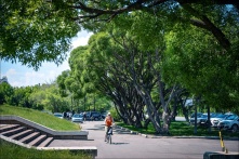 Куда пойти в Омске 6, 7 и 8 июня