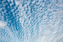 В Омске зафиксированы выбросы сероводорода