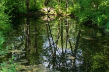 В Омской области на 22 территориях отменили противопожарный режим