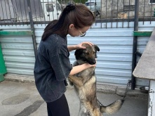 Омские студенты занимаются благотворительностью