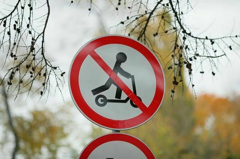 Запрет на электросамокаты может стать массовым, допустили в Госдуме