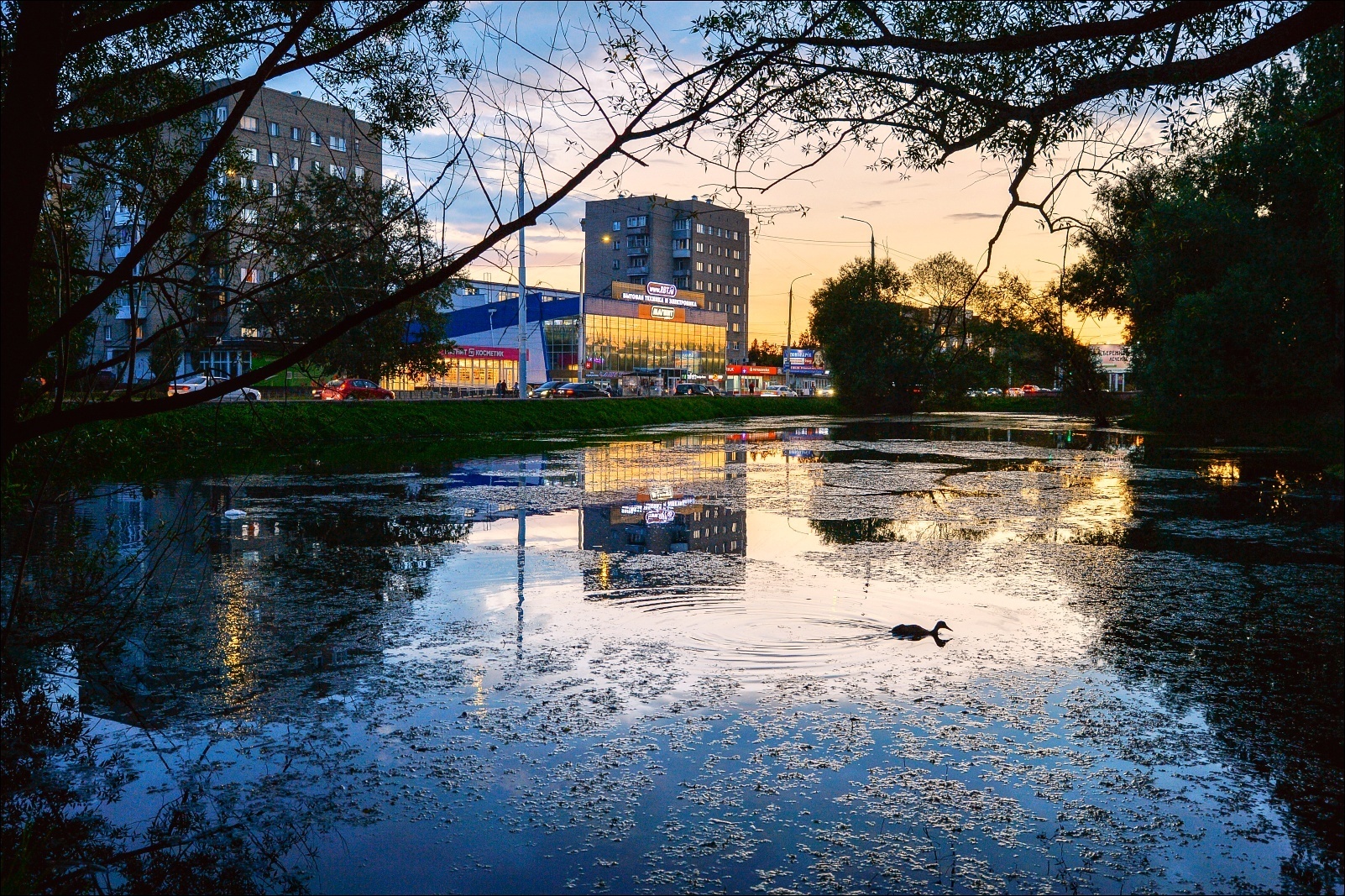 В Омске похолодает, но осадки прекратятся