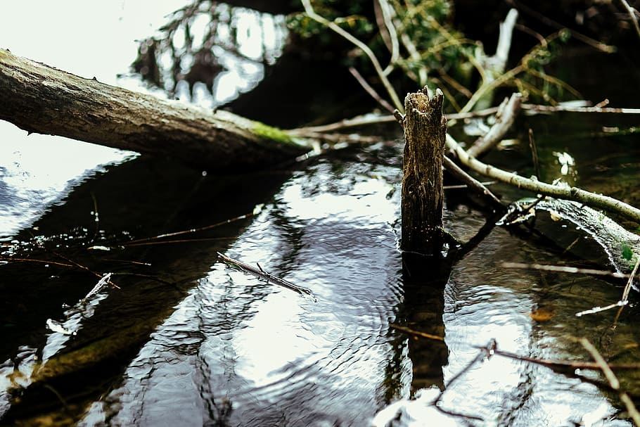 В Омском суде обязали ТГК -11 выполнить все мероприятия по отводу воды с подтопленных территорий