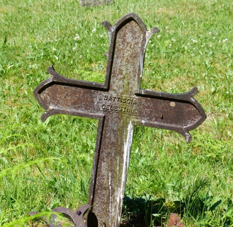 Ученые считают, что жизнь обошла смерть: тот свет для человека больше не конец