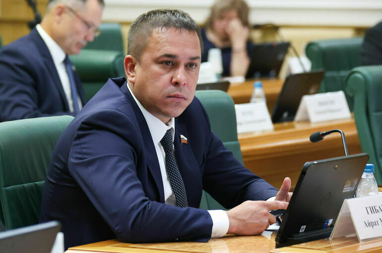 Сенатор считает, что запрет звонков в иностранных мессенджерах создаст проблемы