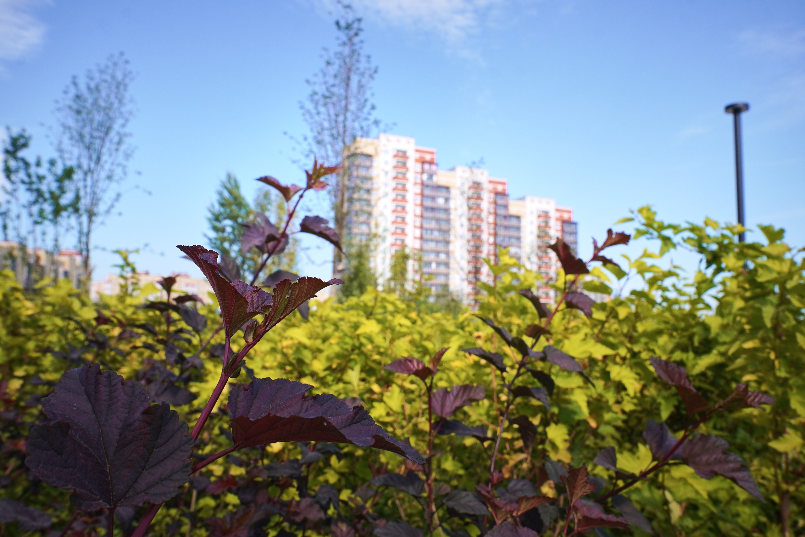  В Омске на выходных ожидаются дожди