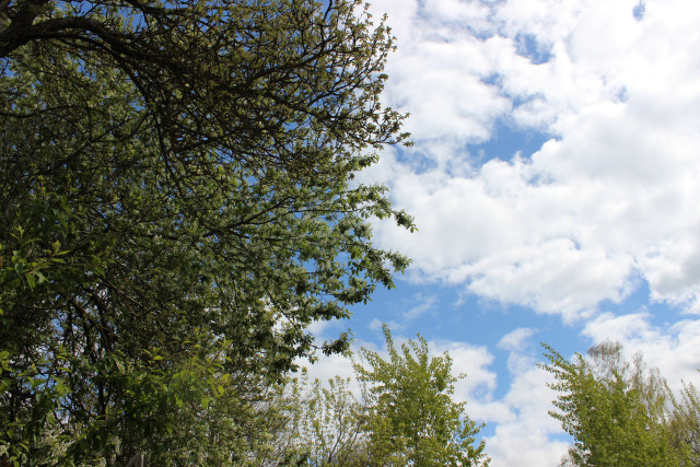 Омичам ответили на жалобы о неприятном запахе