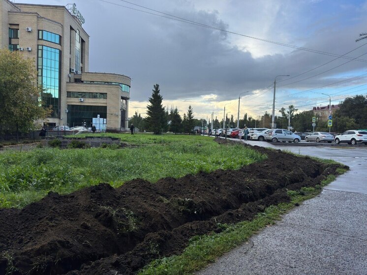 В Омске началось благоустройство нового общественного пространства